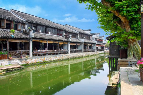 逃出猫头鹰岛